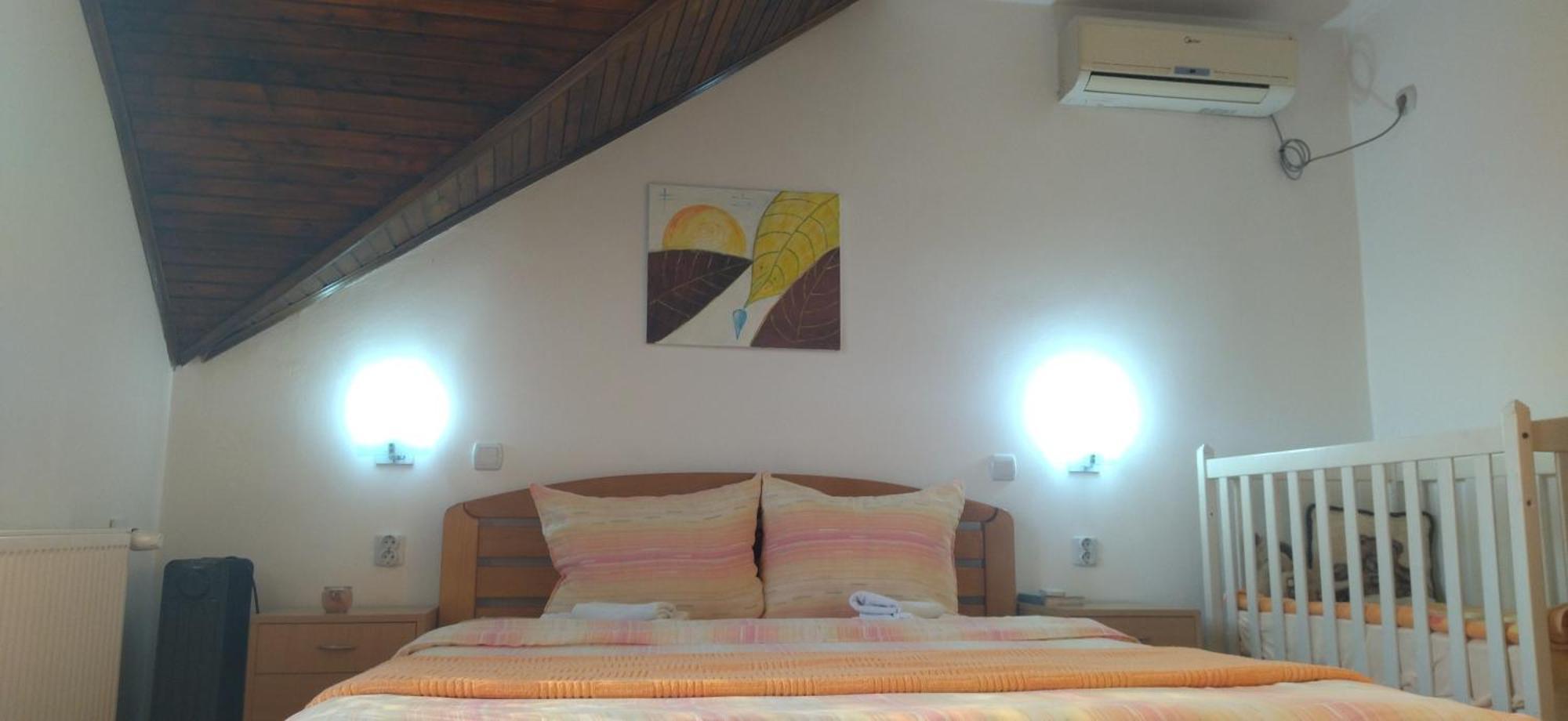 Vila Lenka Sokobanja Camera foto