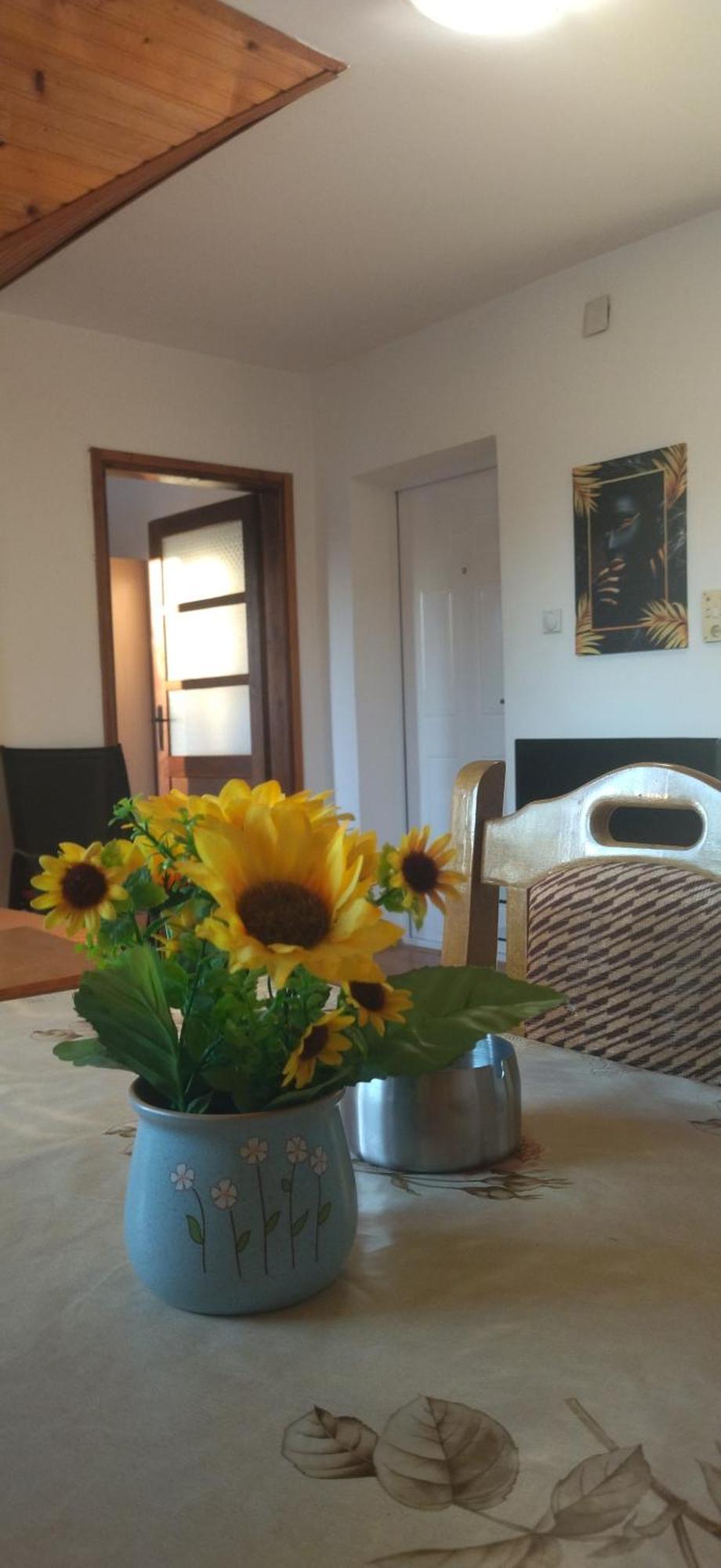 Vila Lenka Sokobanja Camera foto
