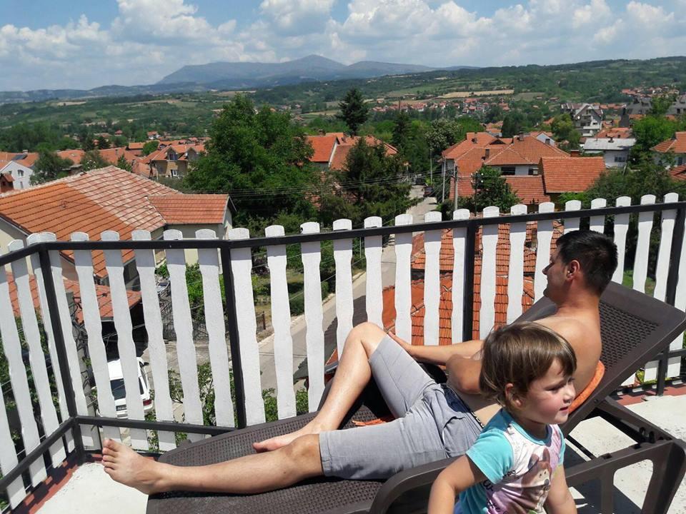 Vila Lenka Sokobanja Esterno foto