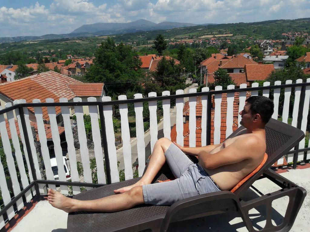 Vila Lenka Sokobanja Esterno foto