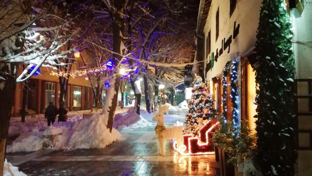 Vila Lenka Sokobanja Esterno foto