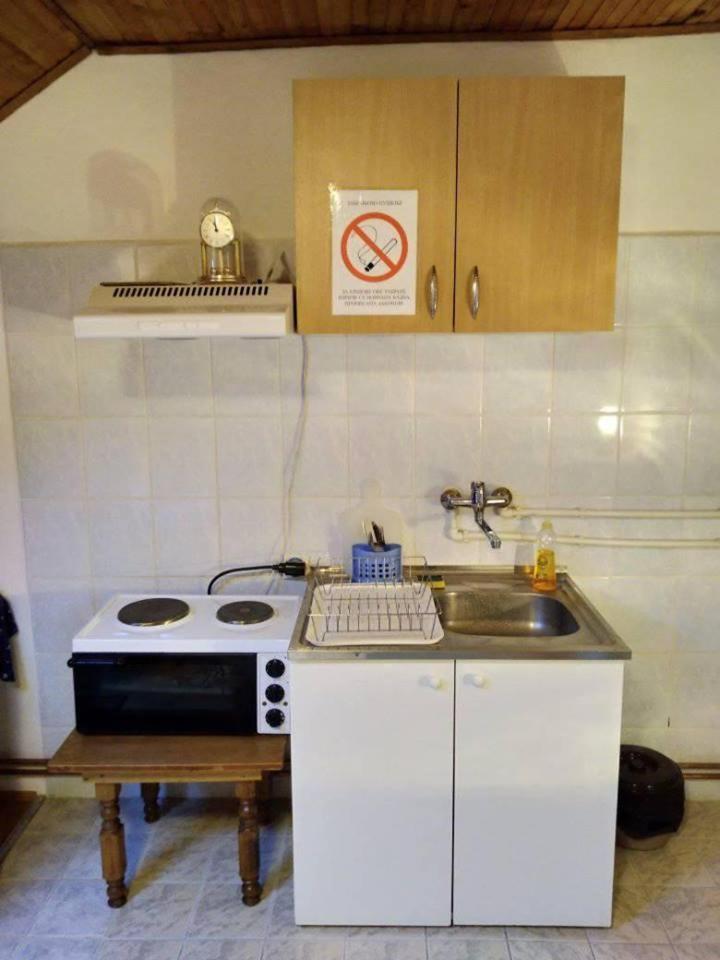 Vila Lenka Sokobanja Esterno foto