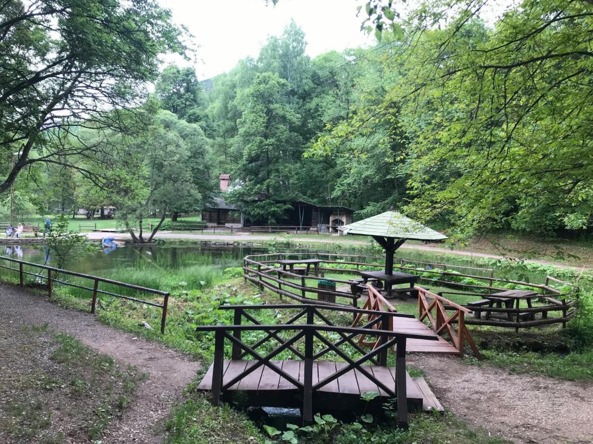Vila Lenka Sokobanja Esterno foto